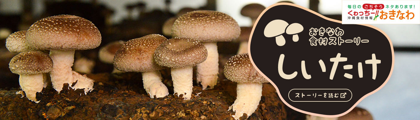 おきなわ食材ストーリー「しいたけ」