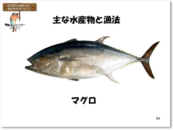 沖縄の主な水産物と漁法　マグロ